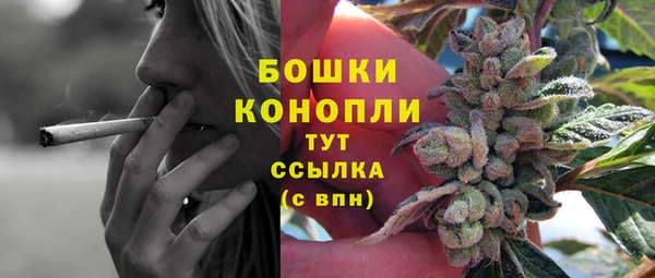 ГАЛЛЮЦИНОГЕННЫЕ ГРИБЫ Михайловск